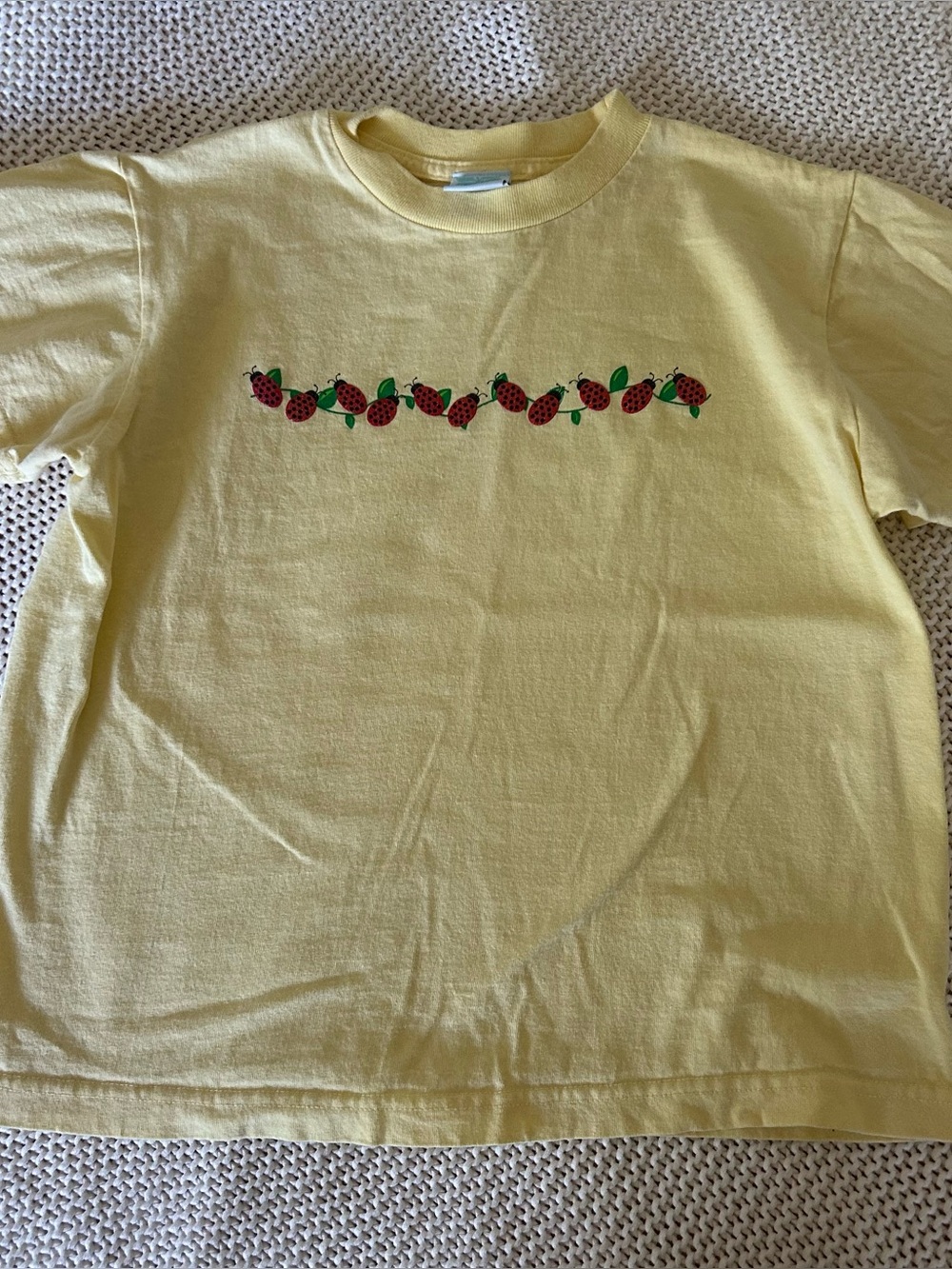 Ladybug Baby Tee